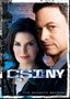 CSI: NY - The Seventh Season