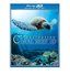 Fascination Coral Reef [Blu-ray]