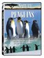 Nature: Penguins - Penguins of the Antarctic/The World of Penguins