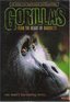 Gorillas - From the Heart of Darkness