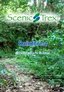 Scenic Trex Rainforest DVD - Walking, Cycling, Treadmill, Elliptical Workout