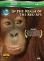 Wild Asia 1: In the Realm Of The Red Ape