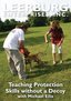 Teaching Protection Skills without a Decoy