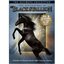 The Adventures of the Black Stallion: The Ultimate Collection
