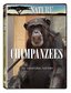 Nature: Chimpanzees - An Unnatural History