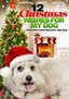12 Christmas Wishes for My Dog