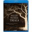 Salem Witch Trials [Blu-ray]