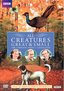 All Creatures Great & Small: The Complete Series 2 Collection  (Repackage)
