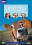 All Creatures Great & Small: The Complete Series 4 Collection (Repackage)