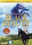 Adventures of Black Beauty: Season One