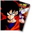 Dragon Ball Z - The Namek Saga (Boxed Set II - Episodes 26-53)