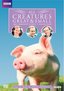 All Creatures Great & Small: The Complete Series 7 Collection (Repackage)