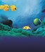 Fascination Coral Reef: Mysterious Worlds Underwater [Blu-ray]
