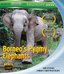 Borneo's Pygmy Elephants [Blu-ray]