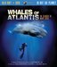 Jules Verne Whales of Atlantis in Search of Moby Dick(Two -Disc Blu Ray/Dvd Combo)