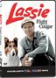 Lassie: Flight of the Cougar