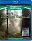 Living Landscapes: Earthscapes - California Redwoods [Blu-ray]