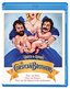 Cheech & Chong's the Corsican Brothers [Blu-ray]
