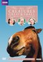 All Creatures Great & Small: The Complete Series 5 Collection (Repackage)
