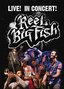 Reel Big Fish Live! In Concert!