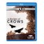 Nature: A Murder of Crows [Blu-ray]