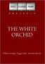 The White Orchid (1954)