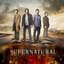Supernatural: The Complete Twelfth Season