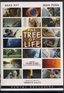 TREE OF LIFE (RENTAL READY)