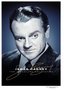 James Cagney - The Signature Collection (The Bride Came C.O.D. / Captains of the Clouds / The Fighting 69th / Torrid Zone / The West Point Story)
