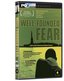 Well-Founded Fear