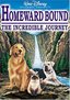 Homeward Bound - The Incredible Journey