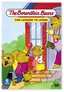 The Berenstain Bears - Fun Lessons to Learn