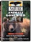 Nature: Animals Gone Wild