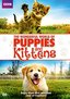 Wonderful World of Puppies & Kittens