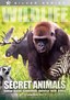 Wildlife: Secret Animals - Africa, Scandinavia, Alaska, Indonesia and India