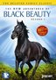 The New Adventures of Black Beauty: Season One