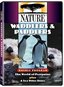 Nature: Waddlers & Paddlers