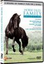 Horse Tales Family Collection