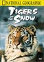 National Geographic's Tigers of the Snow