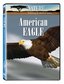 Nature:American Eagle