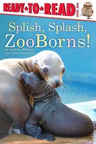 Splish, Splash, Zoo Borns!