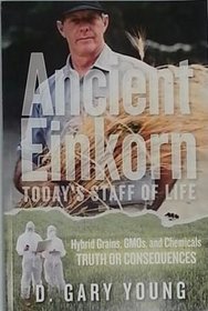 Ancient Einkorn Today's Staff of Life