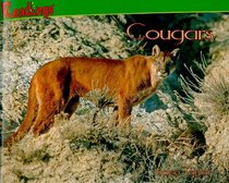 Cougars (Readlings)