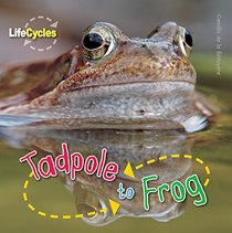Tadpole to Frog (LifeCycles)