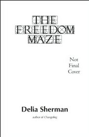 The Freedom Maze: a novel