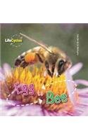 Egg to Bee (Life Cycles)