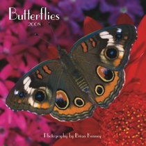Butterflies 2008 Square Wall Calendar (Multilingual Edition)