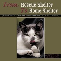 From Rescue Shelter To Home Shelter: (How A Feline Named Patience Changed My Point-Of-View)