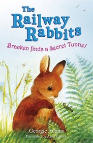 Bracken Finds a Secret Tunnel: No. 5 (Railway Rabbits)
