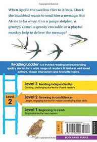 Follow the Swallow: Level 2 (Reading Ladder)